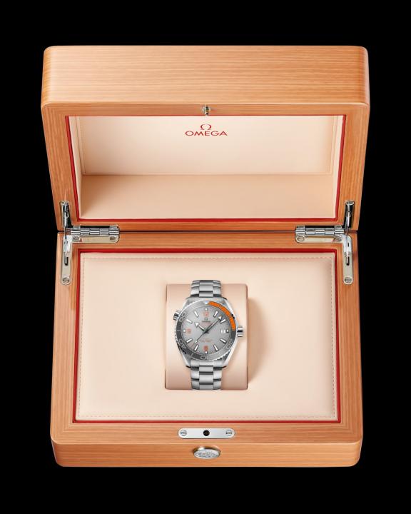Omeg_a Seamaster Planet Ocean 600M