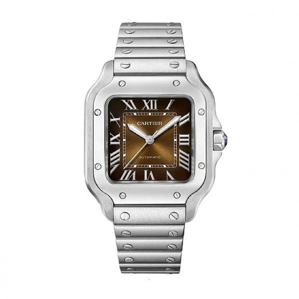 Cartie_r Santos Automatic silver brown