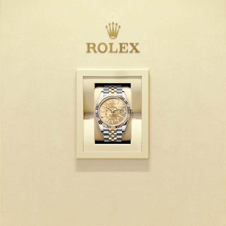 Role_x Oyster perpetual Sky Dweller Z-R Premium
