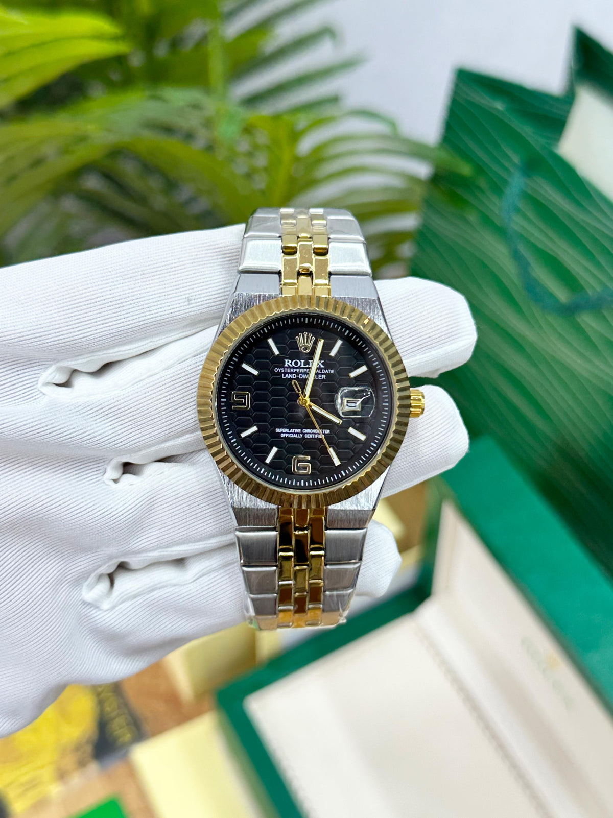 ROL.EX 2025 NEW BATCH LAND DWELLER DIVER