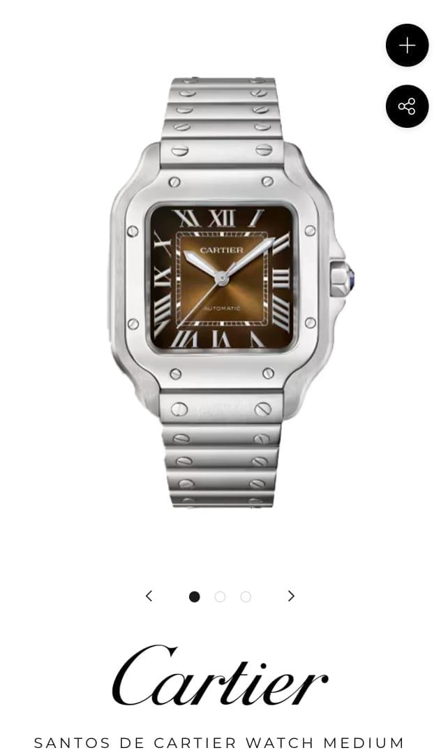 Car.tier Santos Automatic silver brown