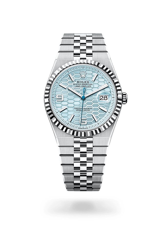 ROL.EX 2025 NEW BATCH LAND DWELLER DIVER